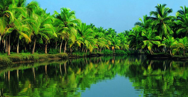 Serendipity at Kerala